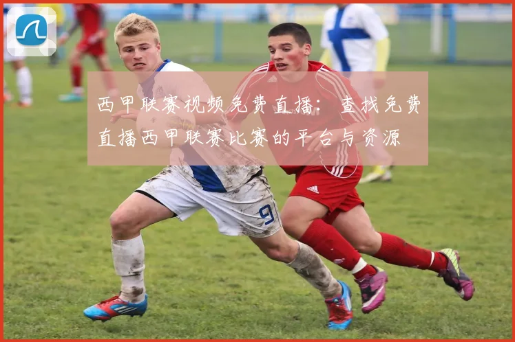 西甲联赛视频免费直播：查找免费直播西甲联赛比赛的平台与资源