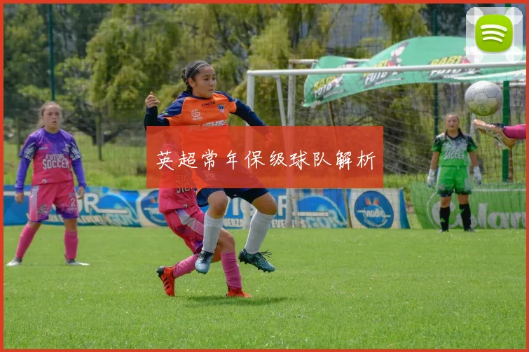 英超常年保级球队解析