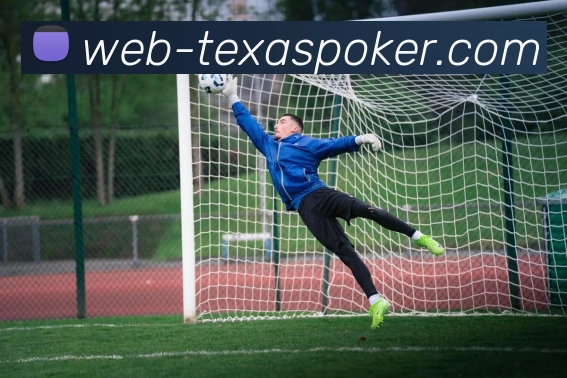 英超年轻球队:新兴球队的崛起与未来发展潜力